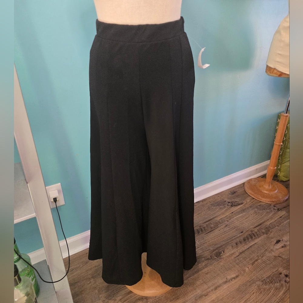 Ultra Sleek and Chic Wide Leg Black Pants